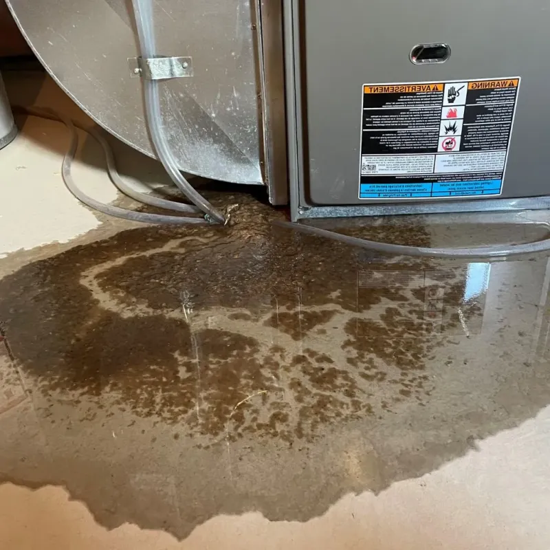 Pipe Burst and Leak Restoration in West Barnstable, MA